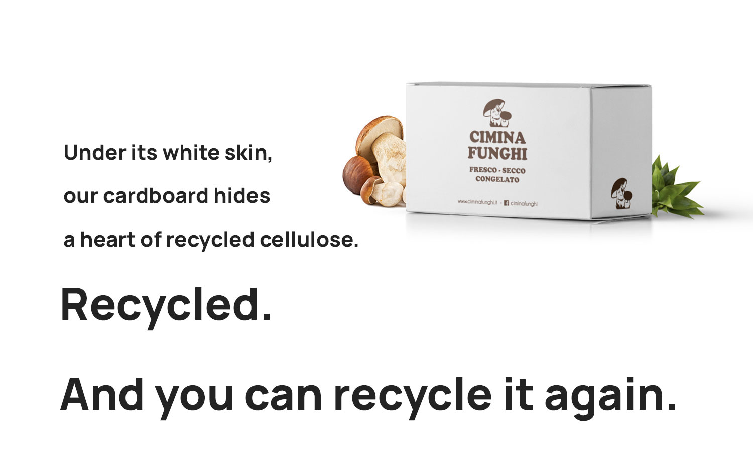 Cimina Funghi cardboard recycled and recyclable